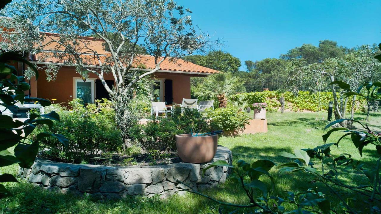 Nakato Villa *